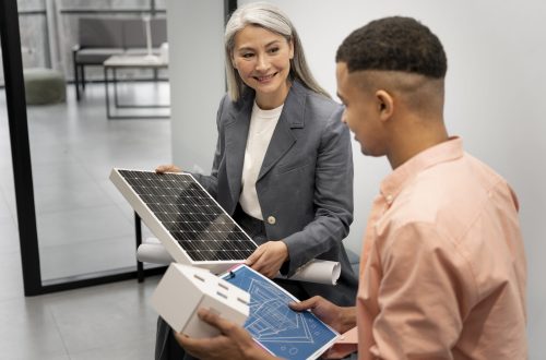business-person-planning-alternative-energies